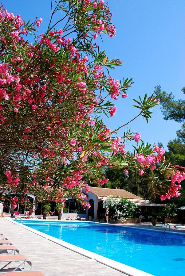 Les Mazets Des Roches Hotel Tarascon